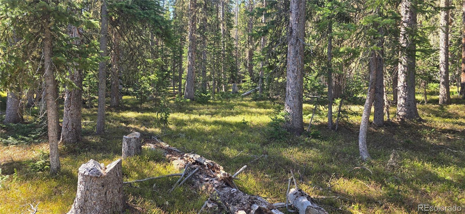 Lot 6515 Doyle Road