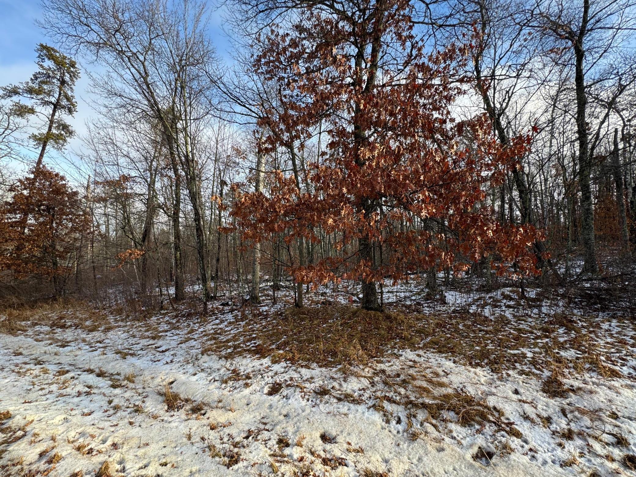 Lot 43 Ranchette Drive