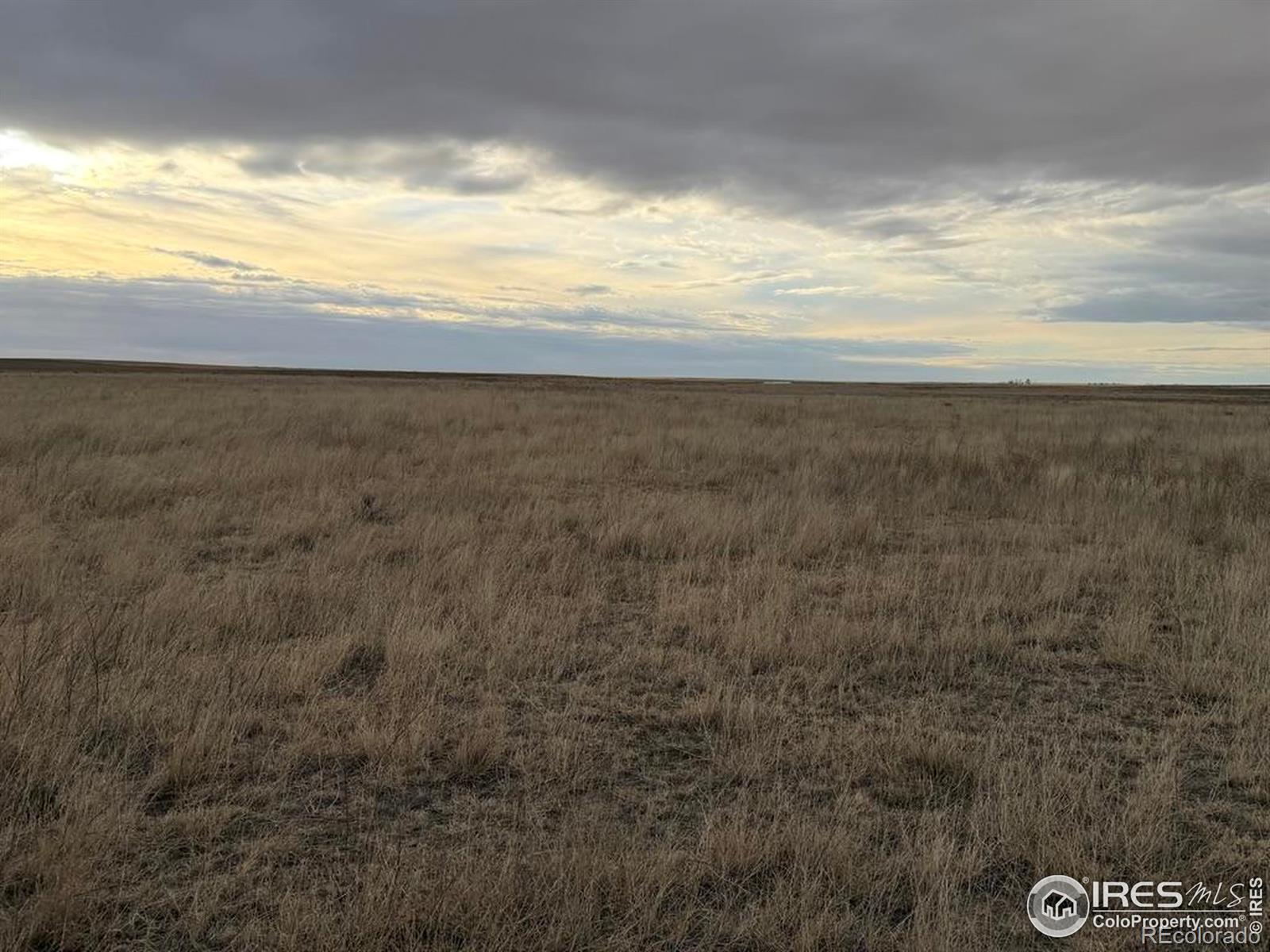 Here is a rare opportunity to own all of Section 8, Township 13 South, Range 49 West in Cheyenne County, Colorado. This 632.9 acre parcel offers a strong combination of productive native pasture and dependable CRP income, making it an attractive addition to a cattle operation or long-term land portfolio.The property includes 620.98 acres currently enrolled in CRP at $20 per acre, generating steady annual income through 2031. The native grassland with predominantly Class 3-4 soils, well-suited for grazing. The pasture will be available for this spring's turnout.Improvements include livestock pens with a functional corral and loadout system, a three-wire barbed wire perimeter fence, and good water supported by well permit #43122. Whether you're expanding an existing operation or seeking income-producing dryland grass in eastern Colorado, this property checks the boxes.Priced at $825 per acre. 2024 property taxes: $337.18.Opportunities to purchase an entire section with income and infrastructure in place don't come along often.