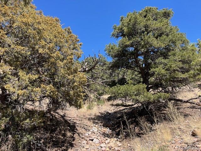 Lot 3306 Fontaine