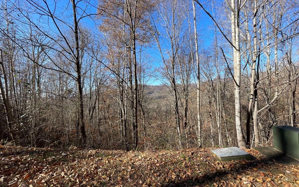 BIG VIEW LOT IN GOLF COURSE COMMUNITY!! Build your mountain getaway in the golf course community of Mountain Harbour. This lot boast views of Mountain Harbour golf course, long range mountain views and Lake Chatuge.