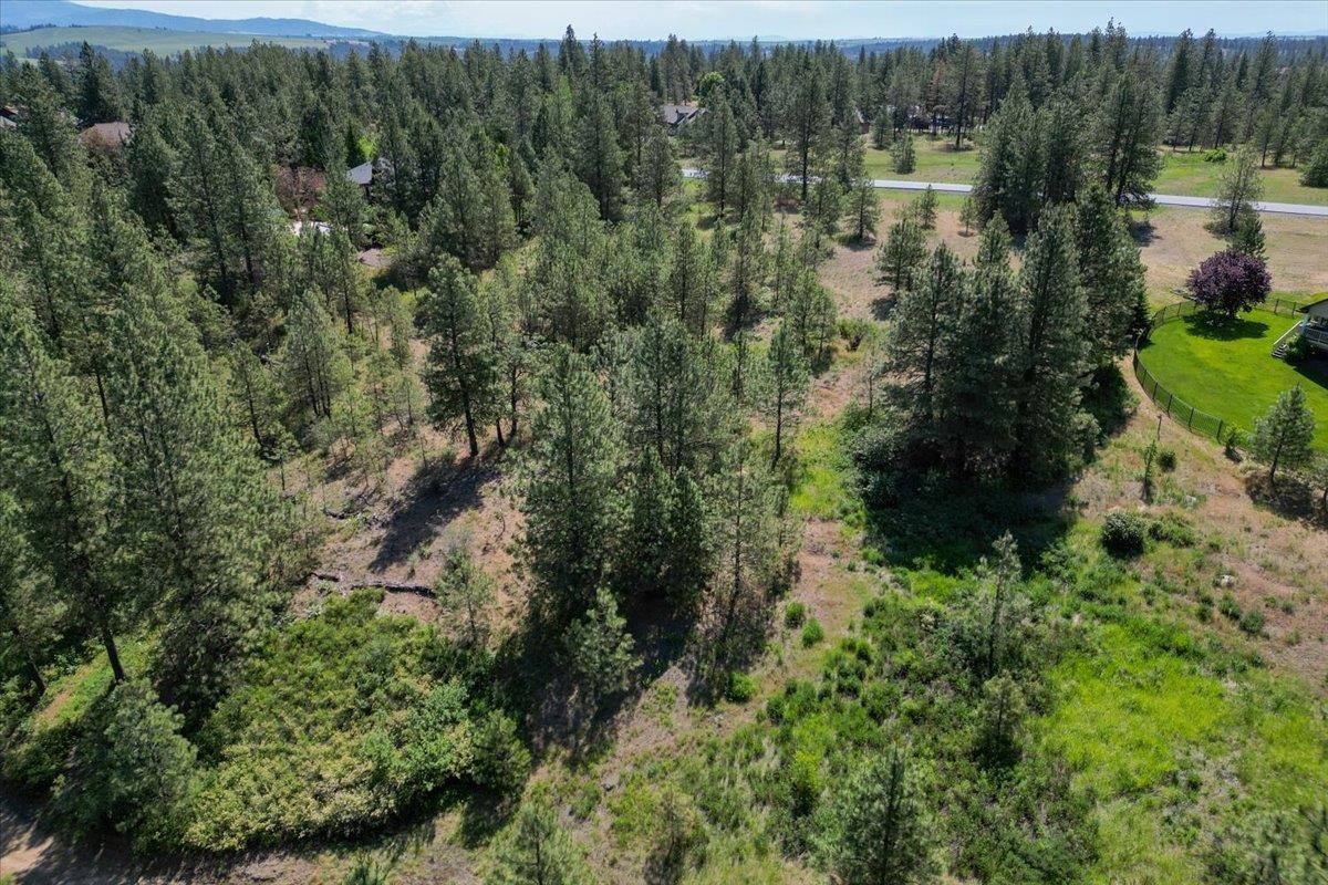 1305 E Wildflower Ln