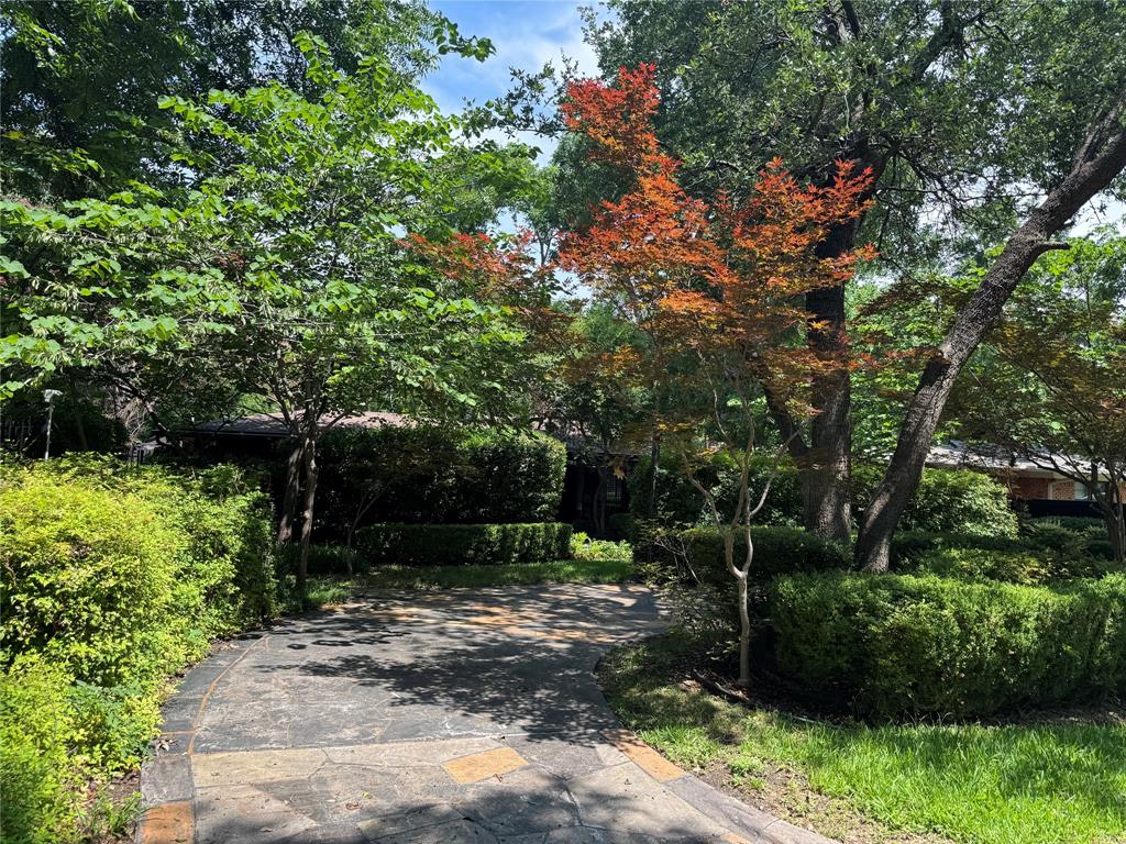 Welcome to your own private arboretum nestled in the heart of one of East Dallas’s most naturally beautiful enclaves. Located just minutes from White Rock Lake, this spacious custom one-story home sits on Lake Gardens Drive, a quiet street, embraced by mature trees and a forested canopy that gives the entire neighborhood a secluded, park-like atmosphere.

Step inside through a charming leaded glass door into a bright, open foyer with views of the kitchen, dining, and living areas. Elegant custom ceilings, crown molding, plantation shutters, and rich hardwood floors set the tone throughout the home. Enjoy scenic views from nearly every room, with lush front and backyard landscaping offering privacy and serenity.

The kitchen features glass folding doors, granite countertops, a pantry, water filter system, a recently upgraded Frigidaire dishwasher 2025 and Frigidaire refrigerator and freezer 2023.

Extensive renovations completed in 2021 included fully reframing and expanding both the primary and secondary full bathrooms, featuring new vanities, toilets, tile, fixtures, plumbing, and lighting. The third full bathroom was completely renovated in April 2025. Throughout the home (excluding the kitchen), walls and ceilings were refinished in a sleek museum-quality finish, and the original hardwood floors were beautifully restored and sealed.

Outdoor living shines here with a custom multi-level deck, perfect for entertaining, featuring an upper level that was refinished, painted, and sealed in 2024, and a newly rebuilt lower deck. A new 8’ privacy fence was added on the east side of the property in 2024. An attached garage, additional off-street parking, and a circular driveway provide ample space for guests.

With thoughtful updates, timeless design, and a rare forest-like setting just a stone’s throw from the lake, this home offers the best of peaceful retreat and city convenience.