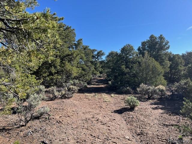 Lot 4 Elk Park Road