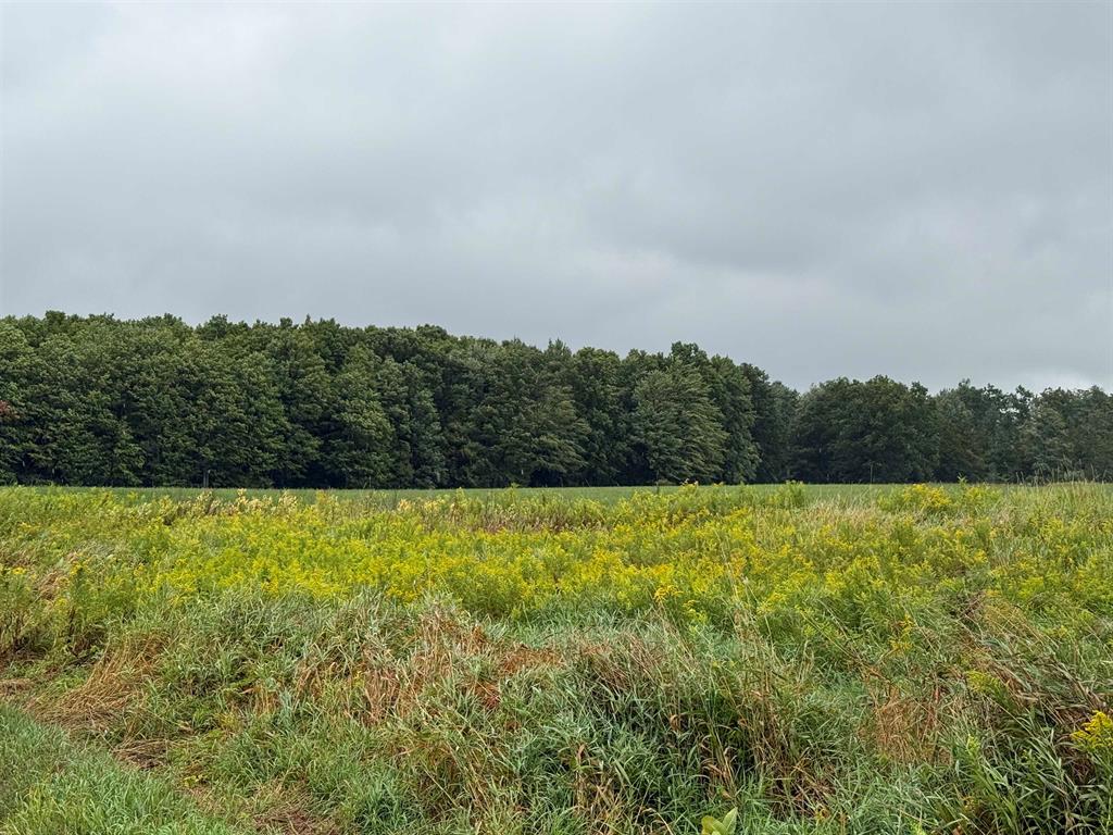 Peace and serenity do not begin to describe this GORGEOUS 13.21-acre parcel. You could build your gorgeous dream home or use it to hunt wild game.  13.21 pristine acres in Ogemaw County, Churchill Township. This property has lots of mature trees and farmland, located on M-55 near the Rifle River.  Just 30 miles from Tawas. This is a MUST SEE!