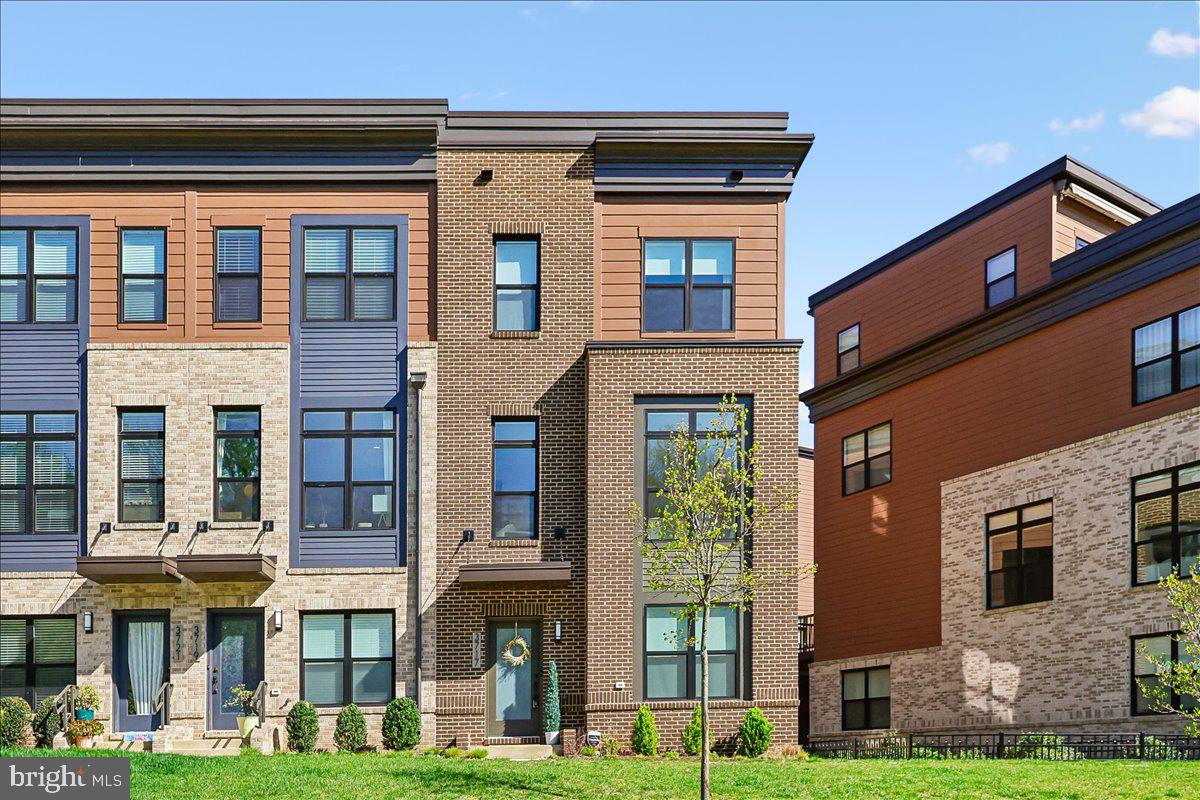 3717 Blue Lobelia Way  