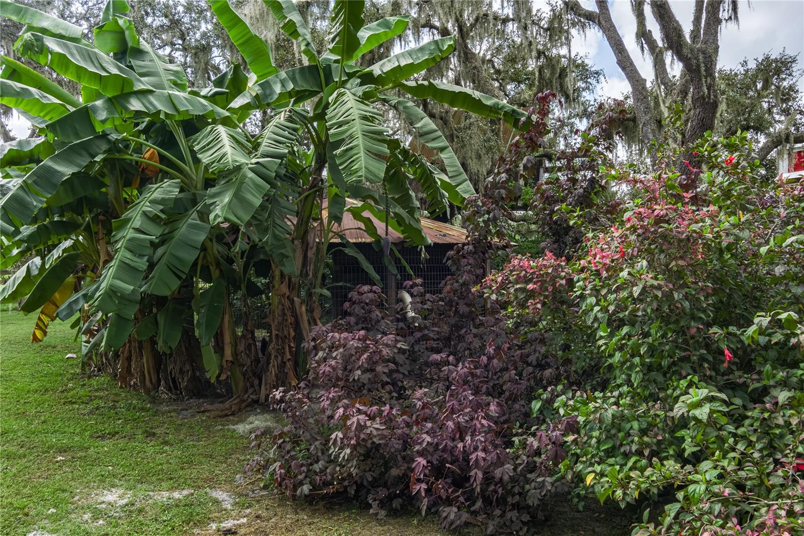 1126 & 1144 County Road 665