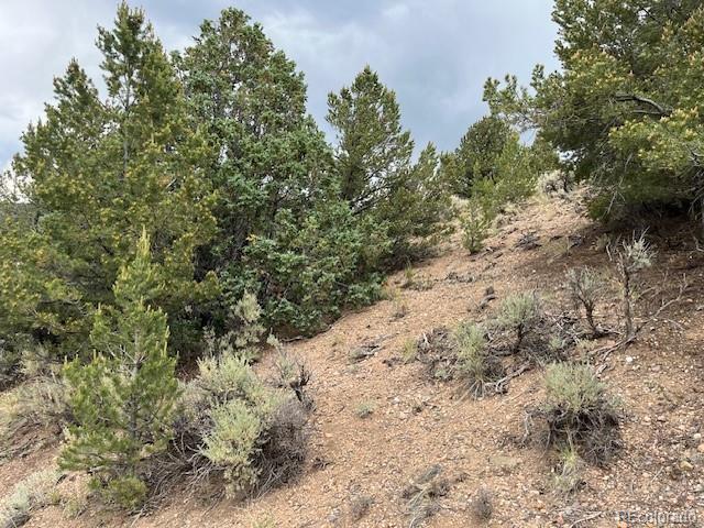 Lot 7840 Richard Road