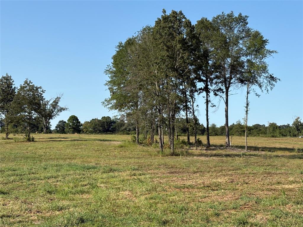 Recently cleared tract ready for that new home. Approx. 11.75 rolling acres (possibly more available) in good sandy soil. Property has enough elevation changes and scattered trees to provide some character and good building site. There is plenty of room for a home, shop, barn, garden and raise a few animals. Get you some chickens and gather your own eggs! There is a large ranch to the east to provide some privacy and wildlife. Located in the sought after Como Pickton CISD and is currently ag valuation on taxes. Located only 5.5 miles from Como, approximately. 15 minutes from both Sulphur Springs and Winnsboro for shopping, festivities and great dining. Also, only about 10-15 minutes from famous Lake Fork for great fishing. Property will need a water well, currently co-op water not on this road, electricity is available at the road and serviced by Farmers Electric Co-op.
Only 3 tracts available. MLS # 20867436, 20864719