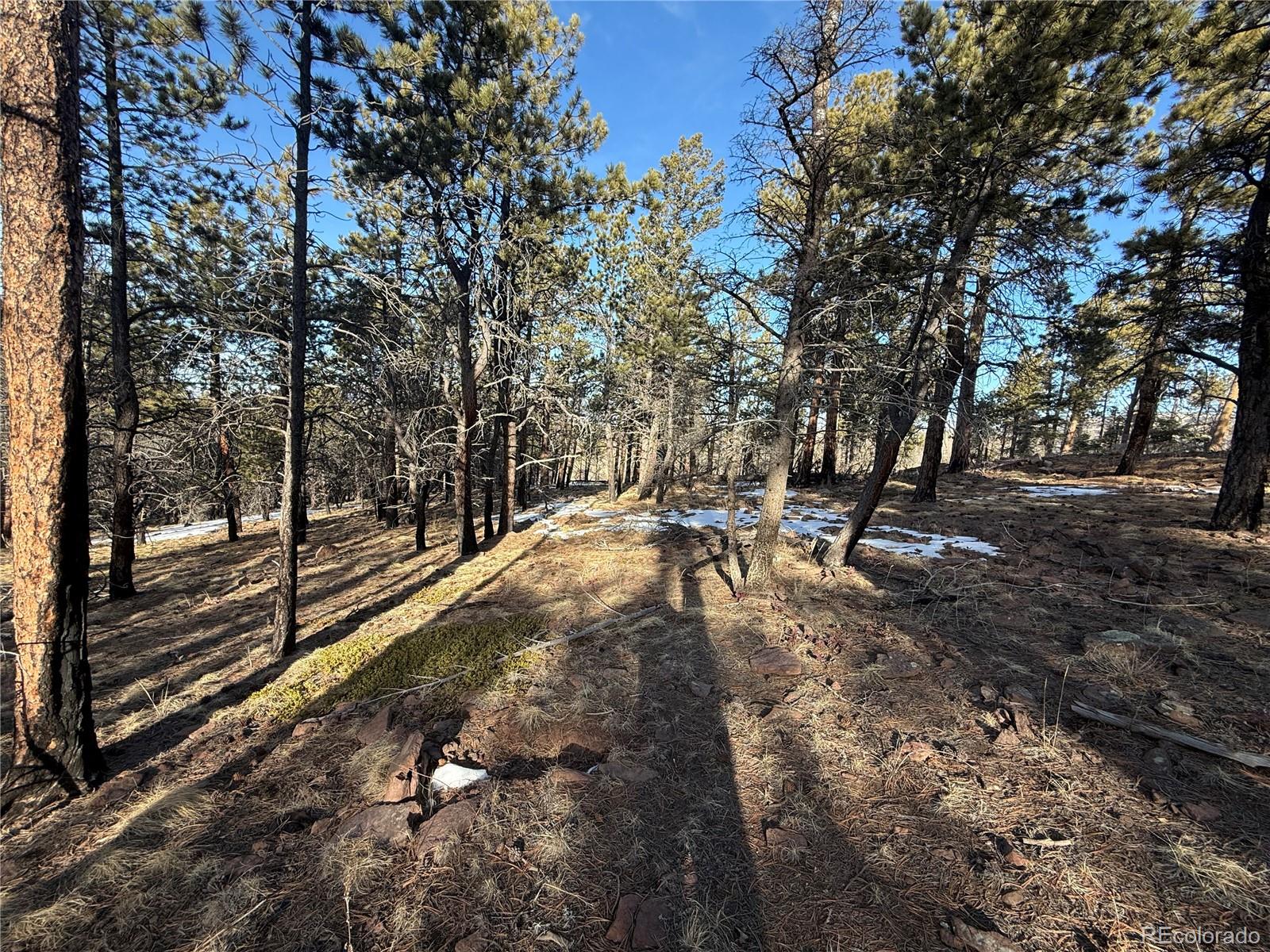 Lot 356 Spangle Drive