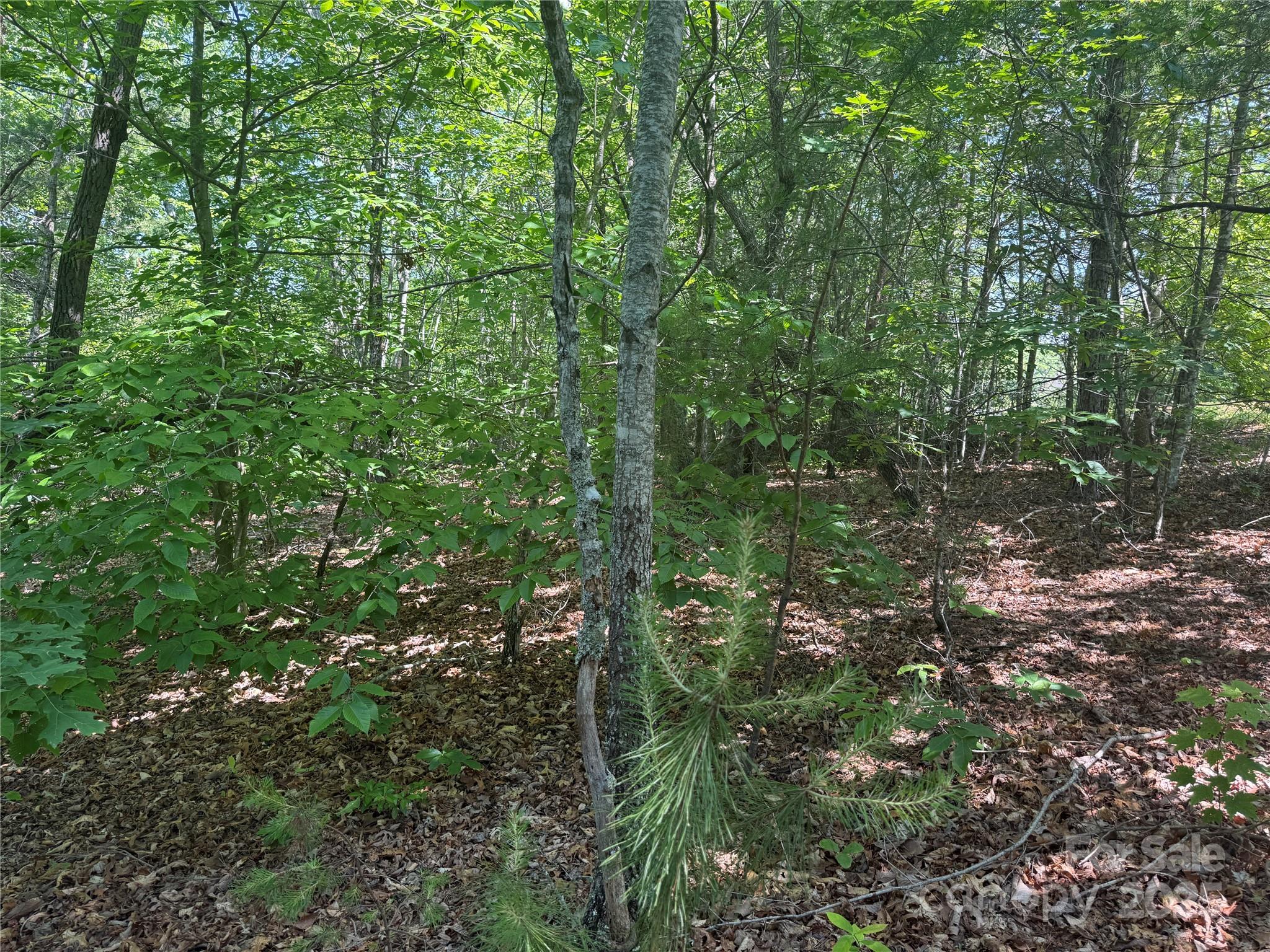 0 Crescent Ridge Lane 373