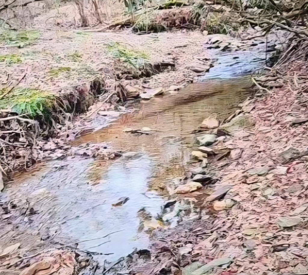 This 5.61 acre buidling site has ELECTRIC available and has been perced for a 3 bedroom home. Located in the gated community of Laurel Mountain this property is ready to build on! Laurel Mountain has an abundance of wildlife ranging from, deer, squirrel, wild rabbits and the occasional black bear to keep an eye out for. With beautiful mature trees to provide shade and a creek running through the property it's the perfect spot for that weekend getaway or permanent home. The Laurel Mountain community boosts two common areas that have water access as well as fishing and kayaking ! The road maintenance fee is $400 per year and the restrictions are limited. There is a paved road to the lot AND this 5.61 acre tract can be subdivided!!! Call today for a showing!! This is a MUST SEE!!