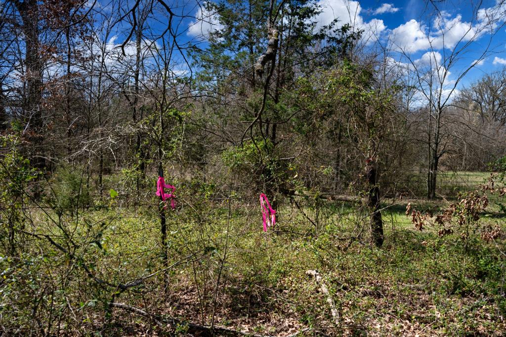 800 County Road 2390