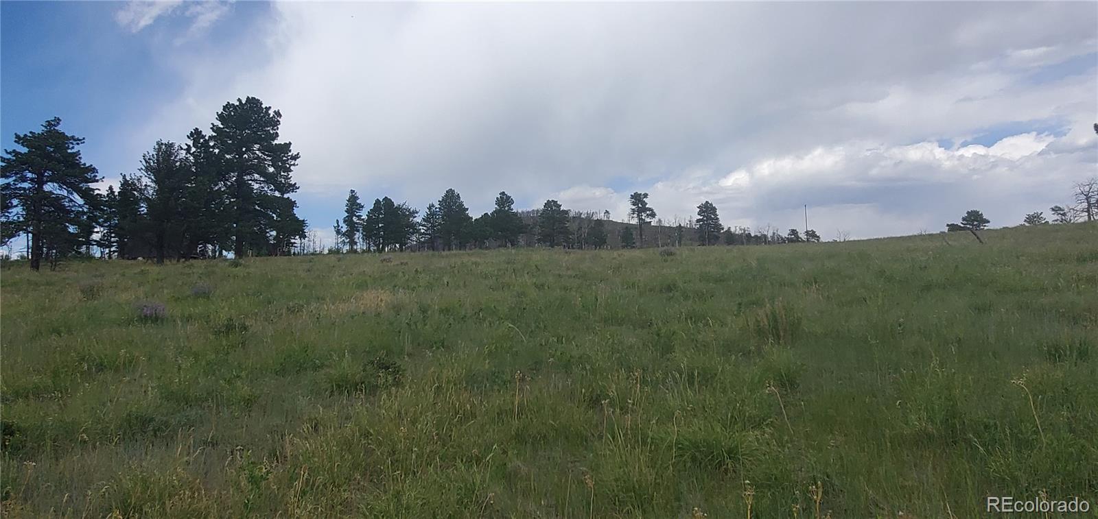 Lot 1720 Fitts Place