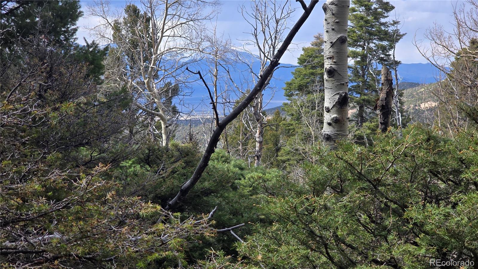 Lot 5261 Scott Road