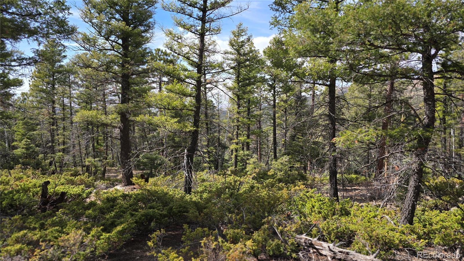 Lot 6070 Vreeland Road