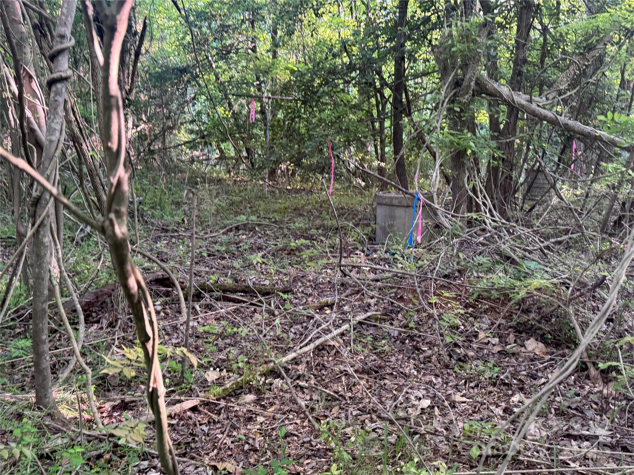 4675 Harmony Highway