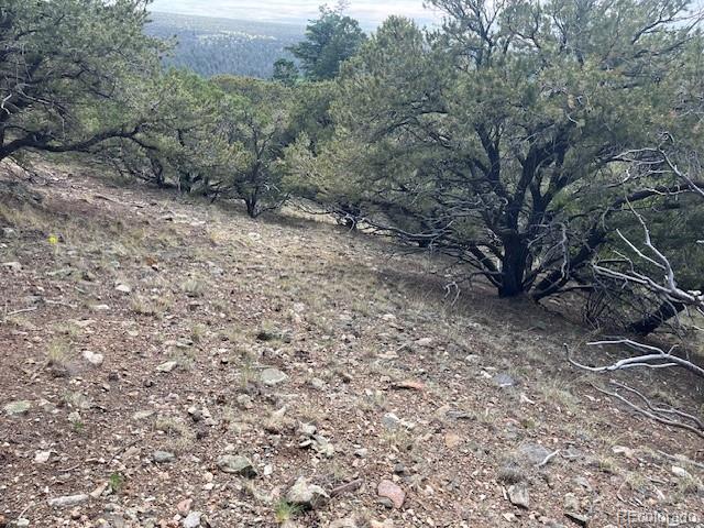 314 Arrastre Road