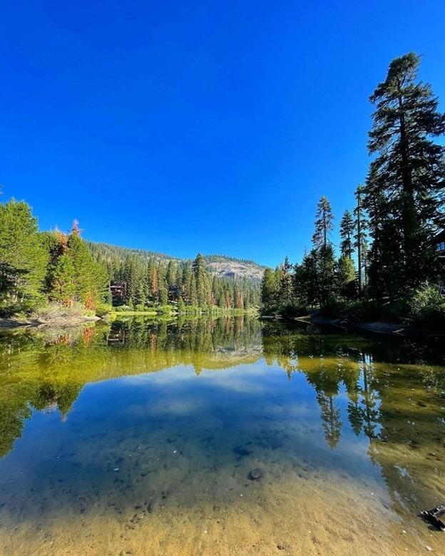 300 Bear Valley Rd. #7