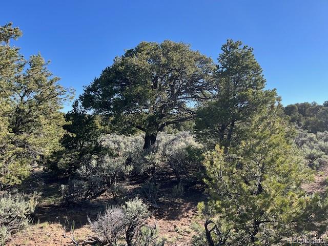 Lot 4 Elk Park Road