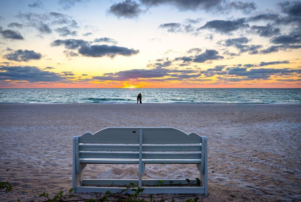 1007 Gulf Drive N 208