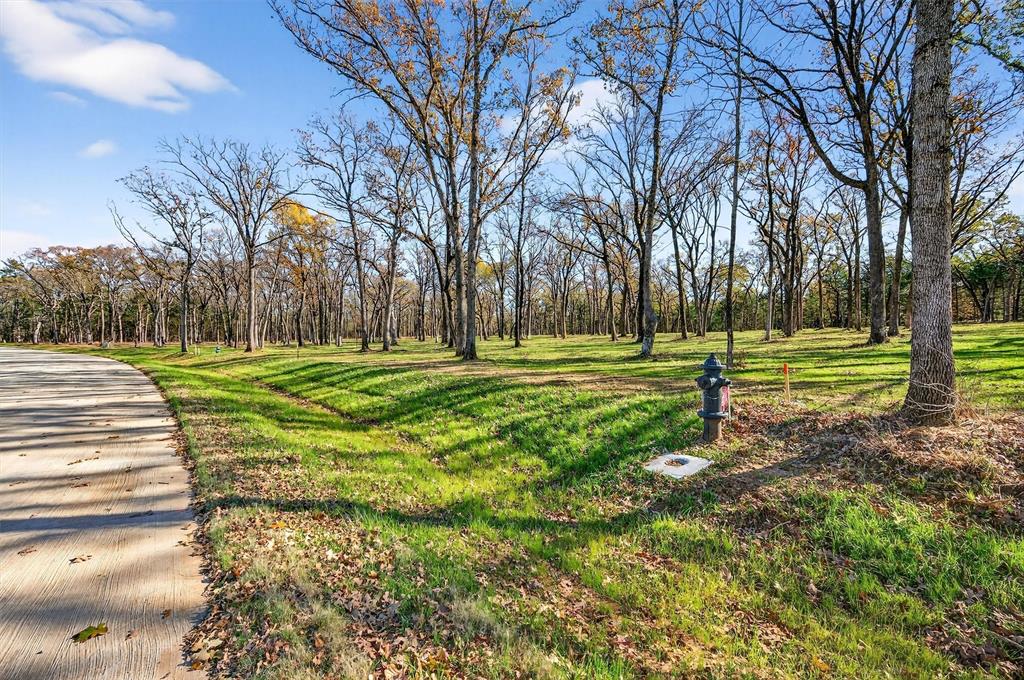 Lot 15 Buck Trail