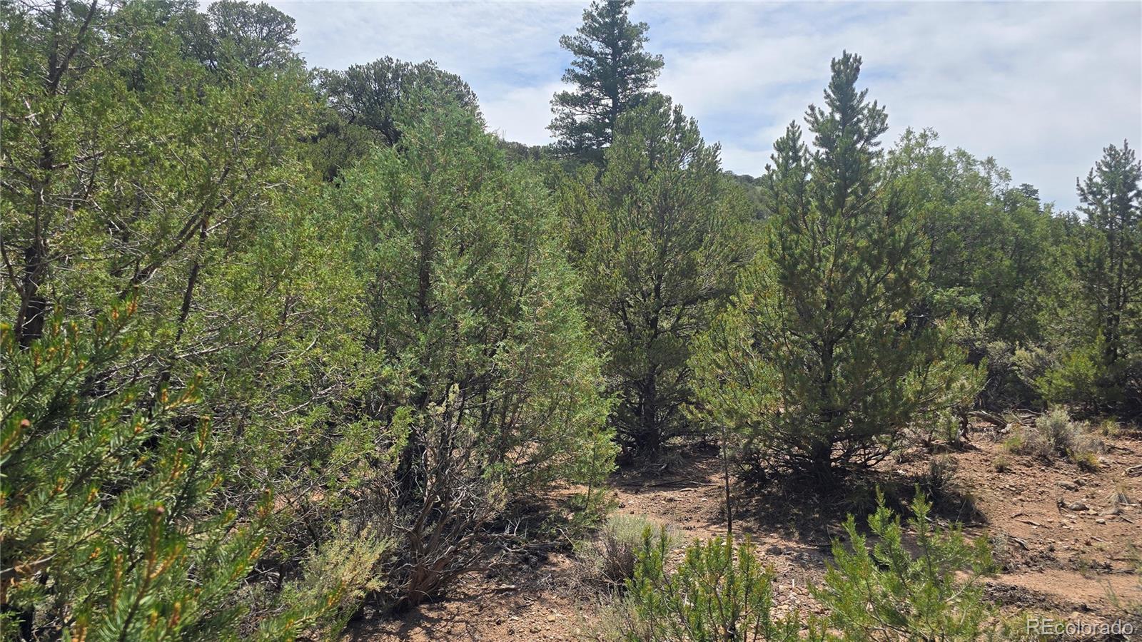 Lot 7892 Tiernan Road