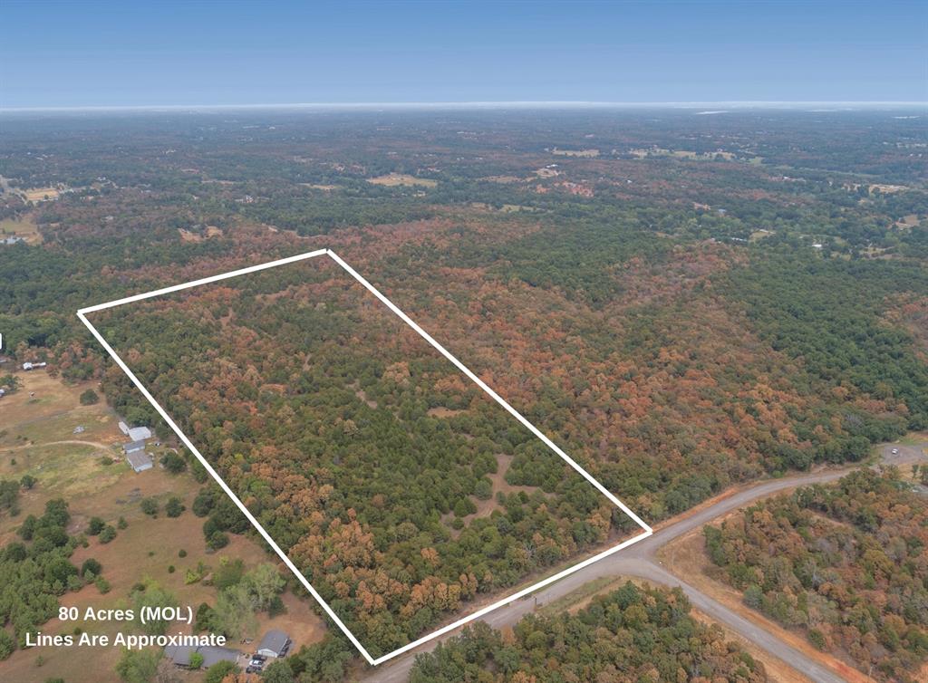 Unlock endless possibilities on this stunning almost 80-acre (MOL) wooded parcel, ideally positioned to offer incredible privacy and a picturesque natural backdrop for your custom dream build, private estate, or rural retreat. Covered in mature trees and rolling scenery, the property provides a peaceful country setting while maintaining convenient access to nearby commuter routes and surrounding metro amenities. Exceptional versatility defines this acreage—enjoy it as an expansive standalone homestead or combine it with the adjoining parcel (MLS #1246738) to secure a massive, seamless 160-acre estate. Whether you're looking to build immediately, hold for future investment, or design a private sanctuary with ultimate space, this rare land offering is ready for your vision—reach out today for more details or to schedule a tour!