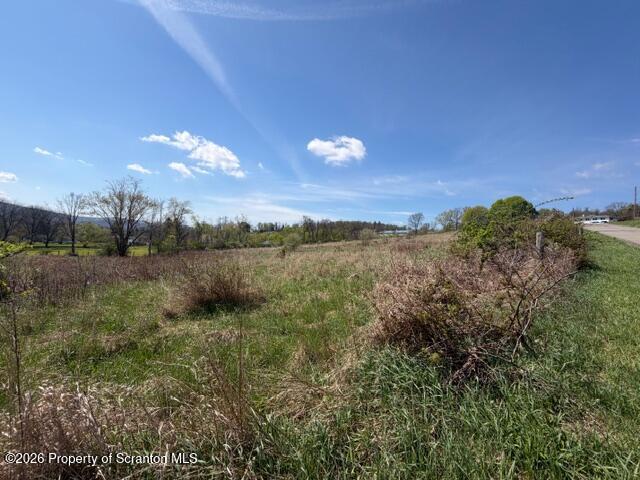 Lower Maple (3.99 Ac) Drive
