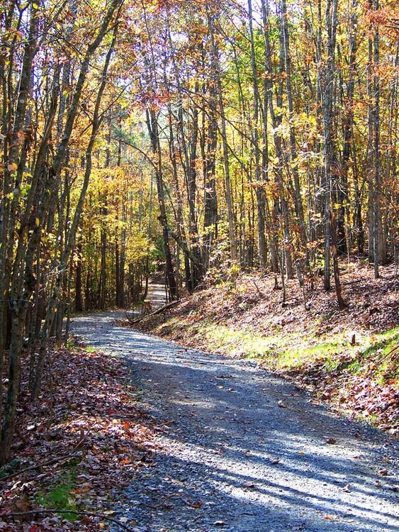 333 Mossy Oak Trail 164