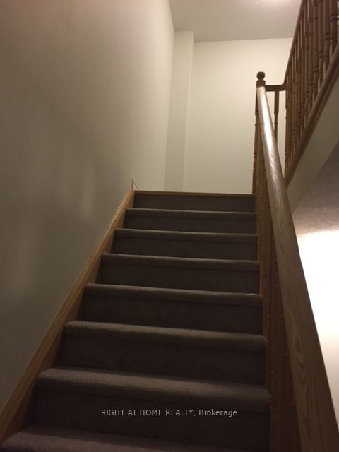 31 Nearco Cres