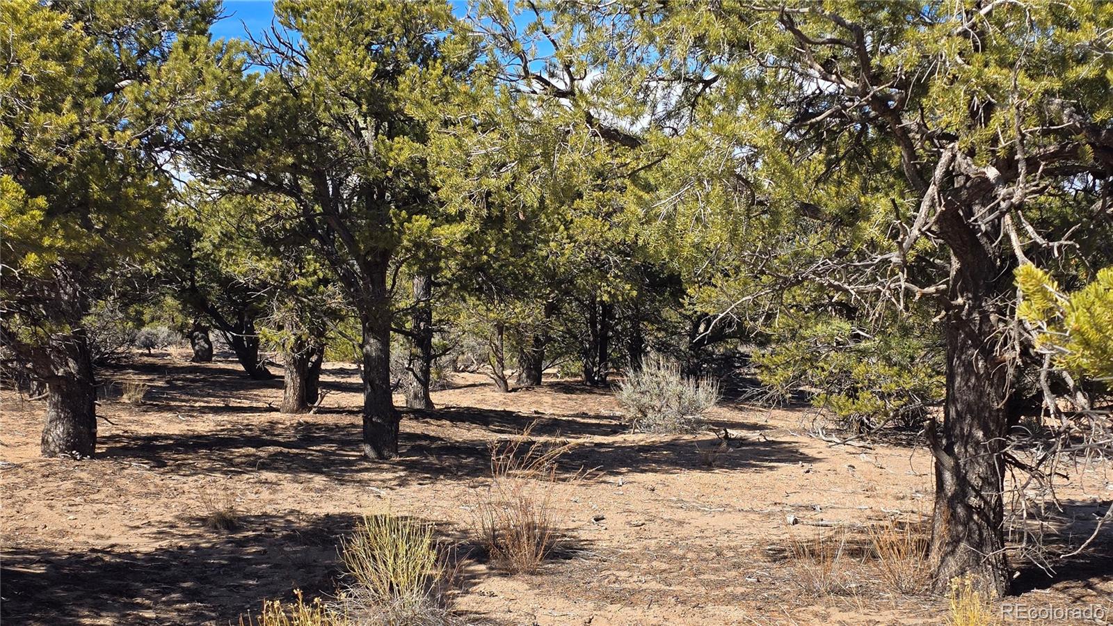 Lot 409 Williams Road