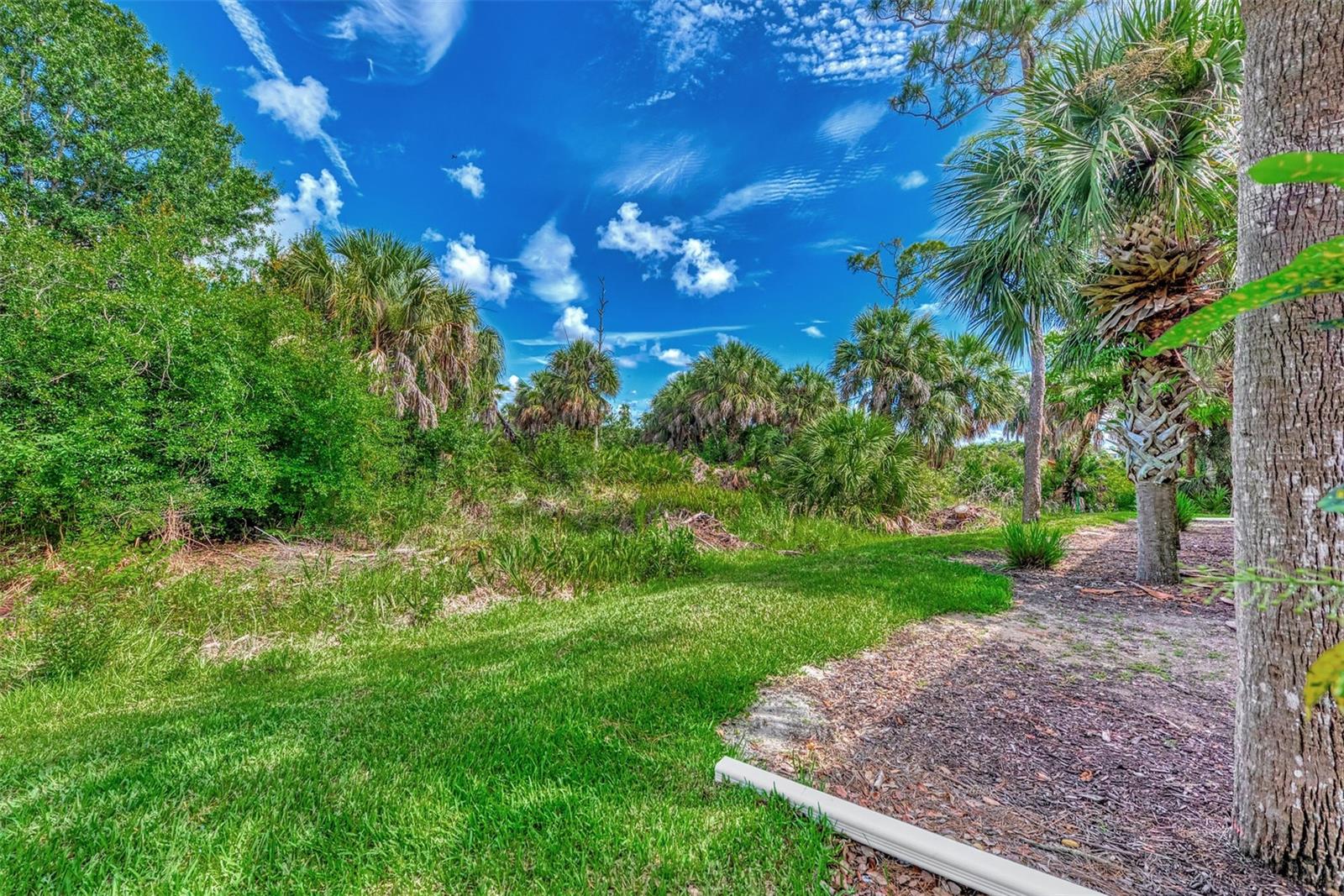 3423 Grand Vista Court 101