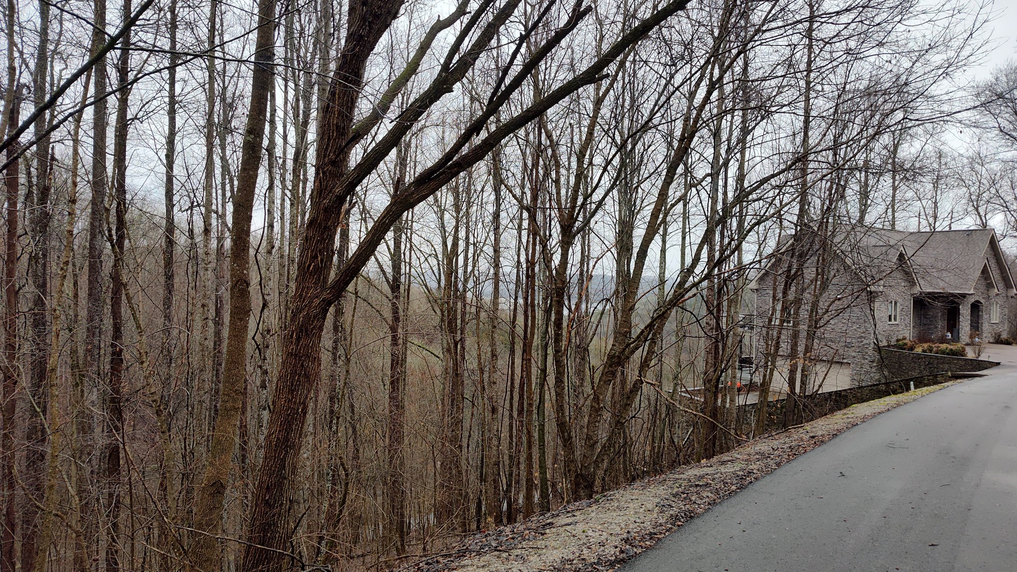 Welcome to Center Hill Lake and Cove Hollow Bay! Come build your dream home in this private gated community. This lot has been perked for a 3 bedroom home. The community has a private dock that you would lease from Center Hill Marina. Withing the community, there is a  playground, paved roads, walking trails as well as underground utilities. Agent must be present to view as a private code is issued for gate access.