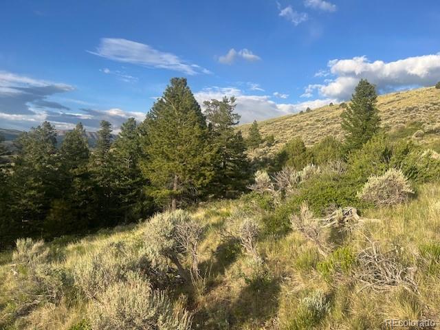 Lot 4630 Spring Road