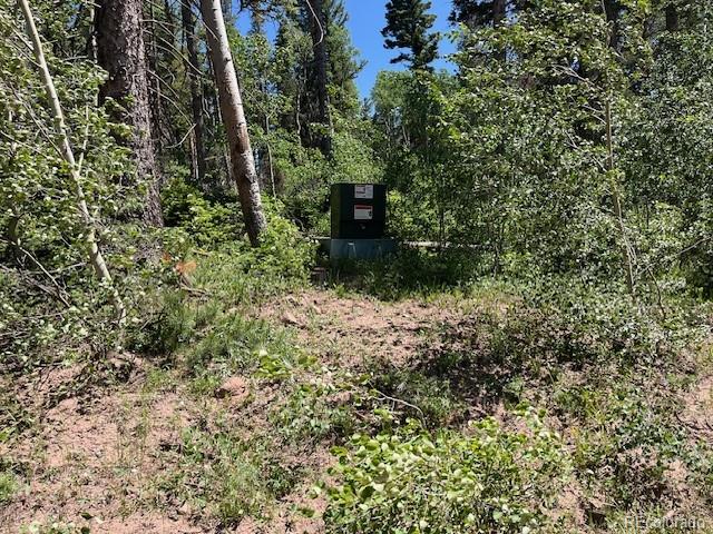 Lot 2449 Petito Drive