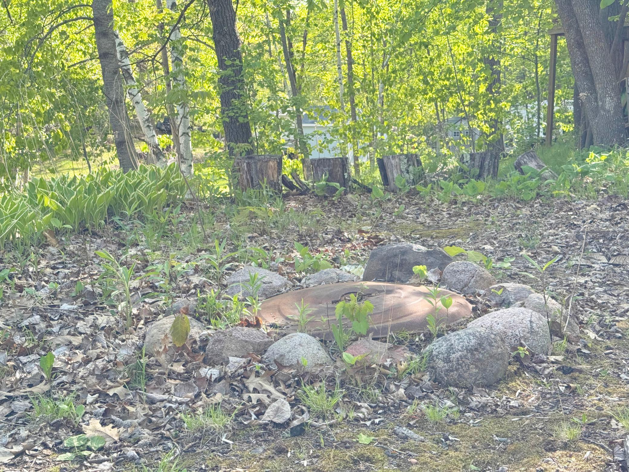 L6-7 B8 Casual Trail