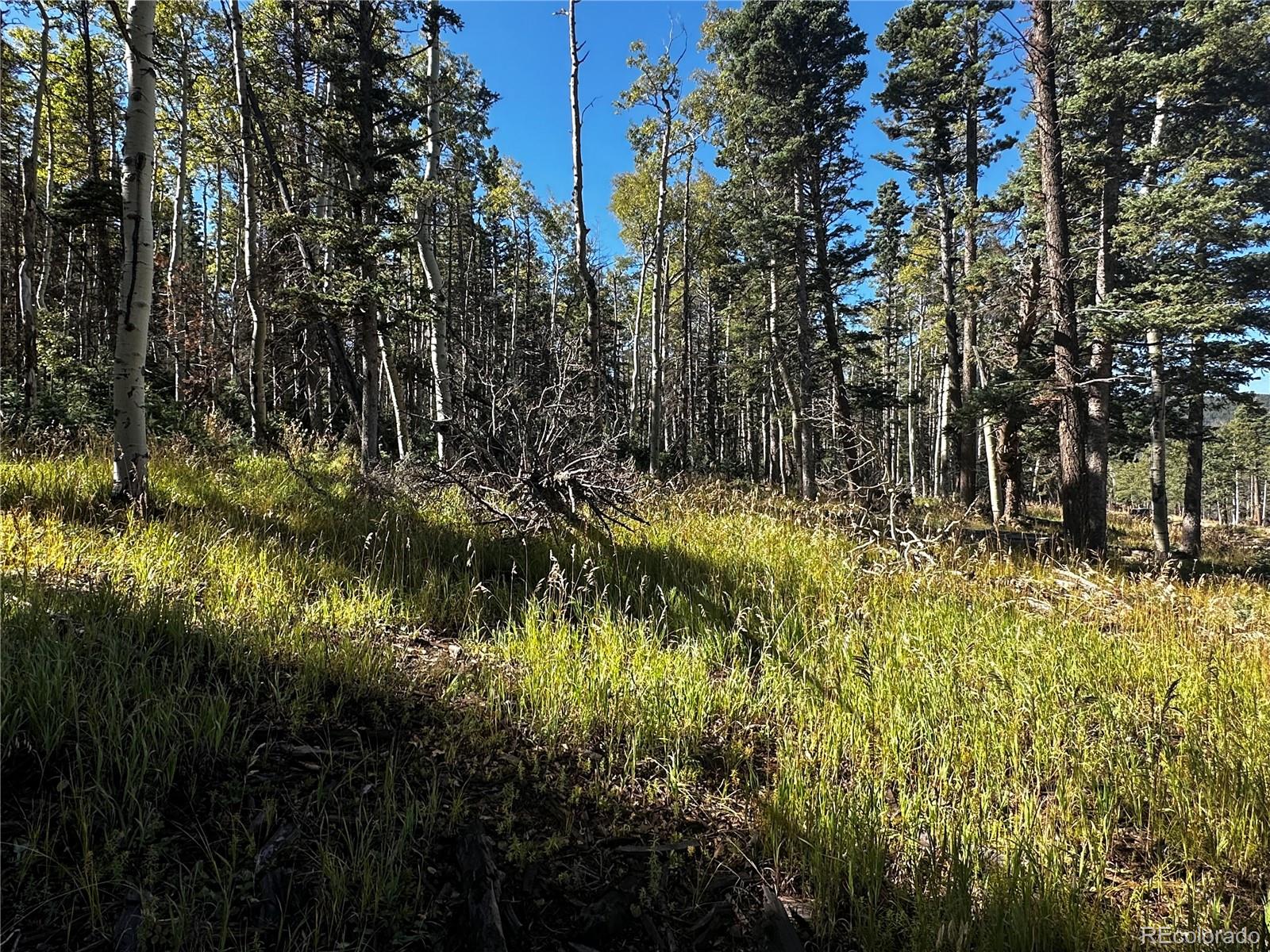 Lot 2652 Petito Drive