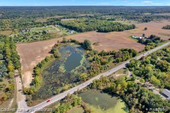 Huge opportunity to own this amazing 48 acres with approximately 40+ acres to build your dream home, farm or develop.  Beautiful spot with a lake for a new home to be built, enjoy the privacy and beautiful wildlife or have your own farm. The land has road frontage of M-24 and Brocker.  Buyer to verify all information.