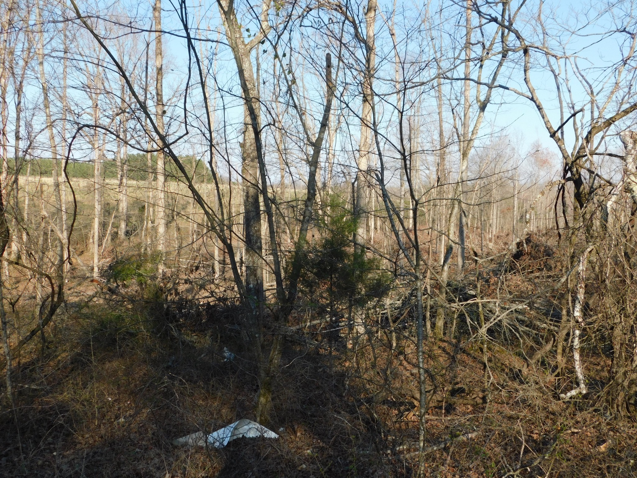 0 Lucas Ridge Road