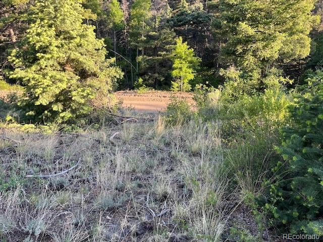 Lot 5693 Balleroy Road