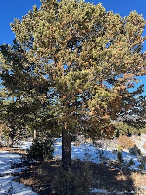 Lot 7898 Tiernan Road