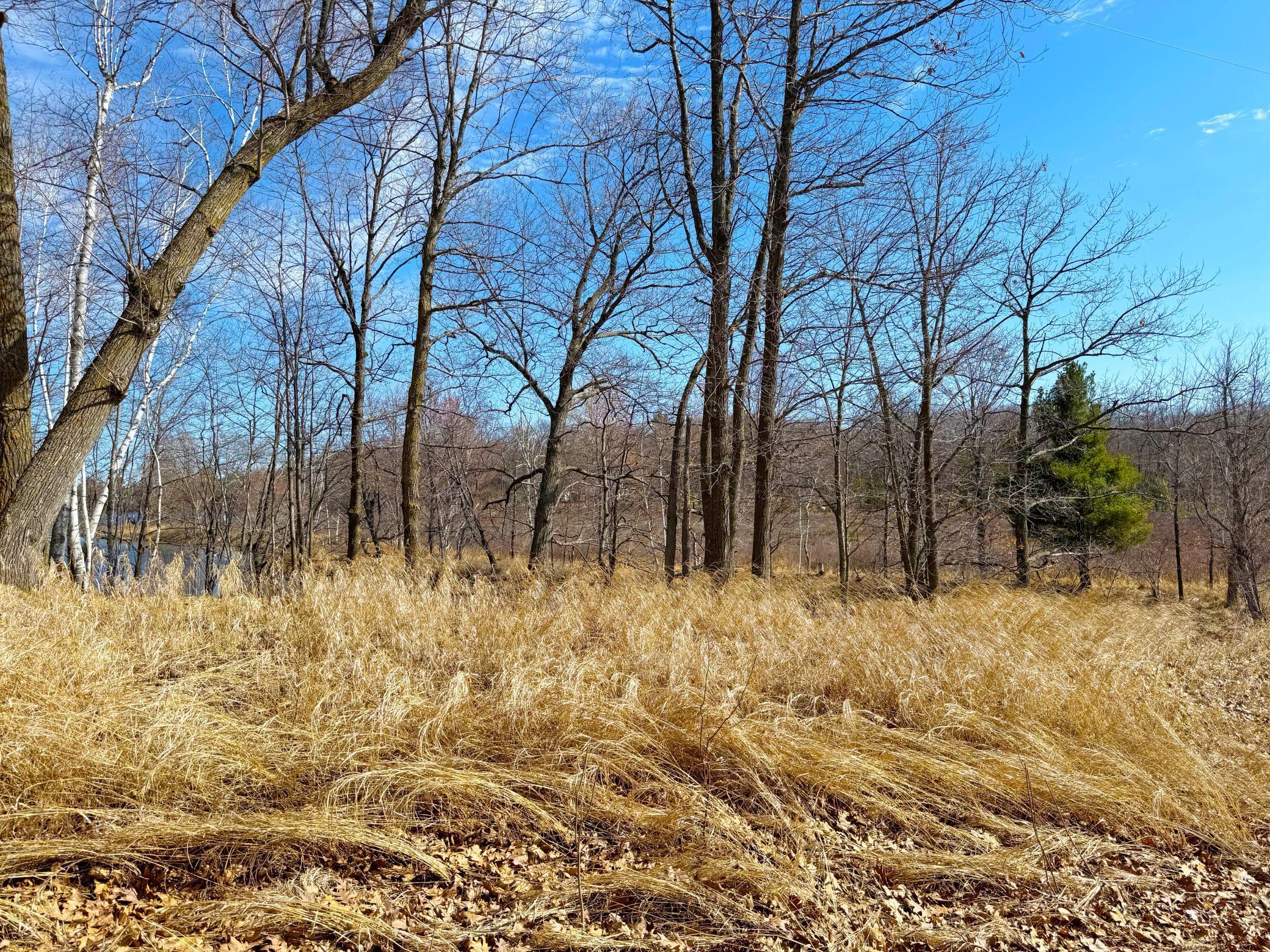 27XXX Greenwood Isle Circle