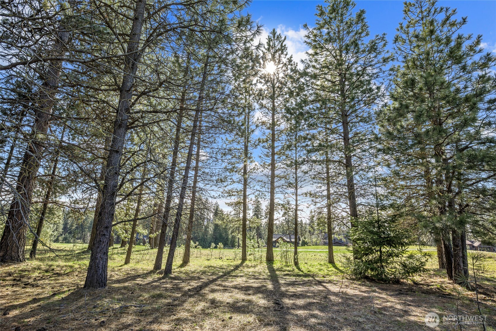 Almost a half acre Level Homesite - Build your dream Home!