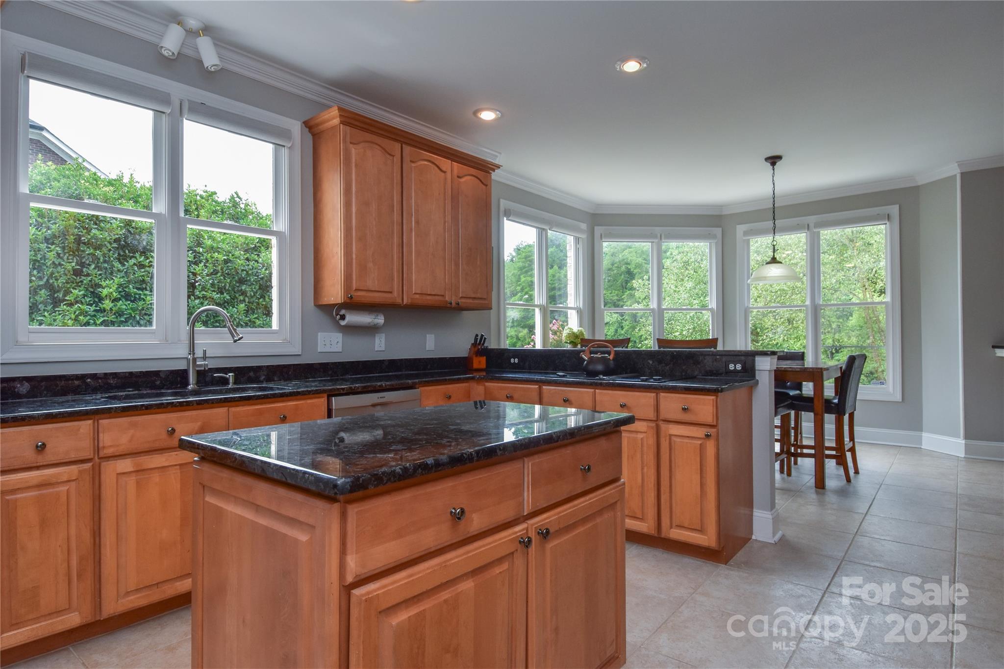 9221 Belle Pines Court