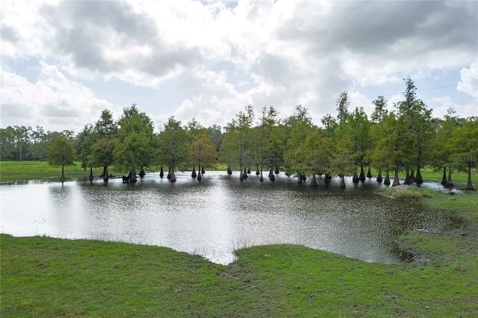 1126 & 1144 County Road 665