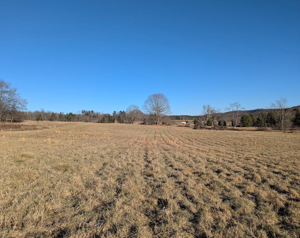 Approximately 22.65 +/- acres of pasture ground available for your consideration! This property is located in Willis VA and within a 20 minute drive to Floyd and Hillsville VA. Currently used for hay production the land is likely some of the most level ground in all of Floyd County! The acreage offers state maintained road frontage and water access for livestock. The front section of the property offers new fencing. Whether your looking to raise livestock or searching for your home building site, give this property a look. The parcel is currently 28.97 acres, the seller will retain approximately 6.32 +/- acres adjoining and subdivide as required by the Floyd County Planning Division at the time of contract acceptance. Offers will be subject to subdivide approval.