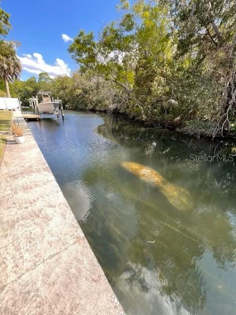 One or more photo(s) has been virtually staged. Ideal for VRBO or a second home, this beautifully updated 3-bed, 2-bath waterfront retreat offers direct access to King’s Bay and Crystal River from a private canal. Enjoy 2,064 sq ft of upgraded living space, a gourmet kitchen with granite counters and double ovens, plus a screened-in pool and spacious patio—perfect for entertaining.

Sitting on .37 acres with a 7-ton boat lift, dock, and no rental restrictions, it’s ready to generate income or be your personal getaway. Wake up to manatees, kayak from your backyard, and enjoy the best of Florida's Nature Coast.