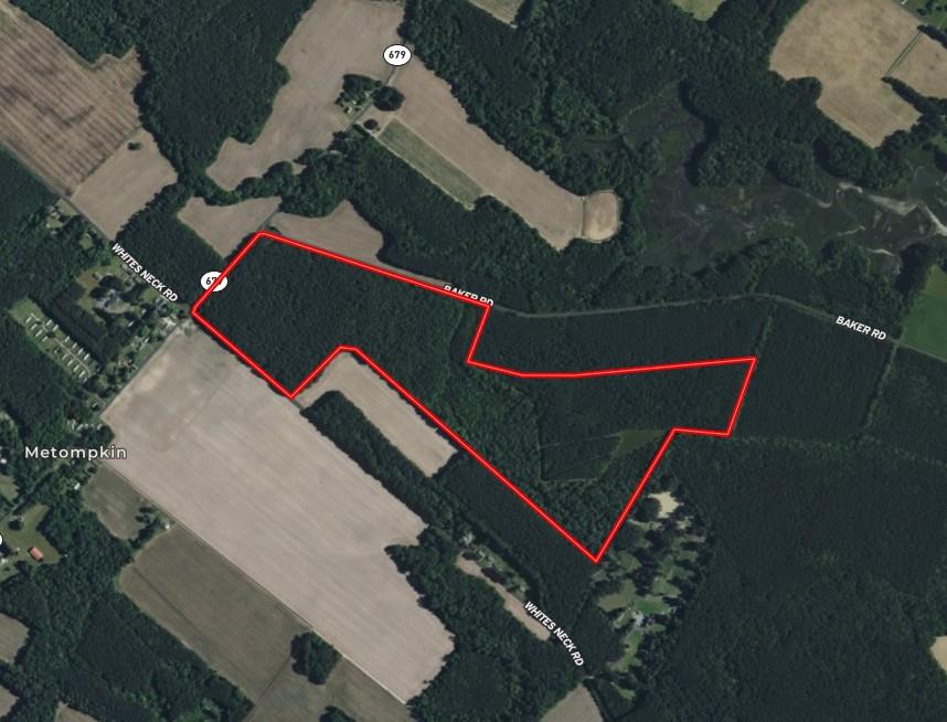 118 acres of timberland with extensive road frontage on Baker Road, Whites Neck Road, and Metompkin Road in Parksley, Virginia. The property features hardwood and pine stands, a 2 acre open field, and a well-maintained trail system providing access from both Baker Road and Whites Neck Road. The cleared area and a portion of the road system are currently planted in winter cover crops for wildlife. Bordered by a 400+ acre nature preserve, this land offers exceptional habitat for whitetail deer, turkey, and other upland game species. The property is permanently conserved under a Program Open Space Easement with the State of Virginia, which supports wildlife management activities. Timber rights are removed from the property. Buyer to perform their own due diligence.