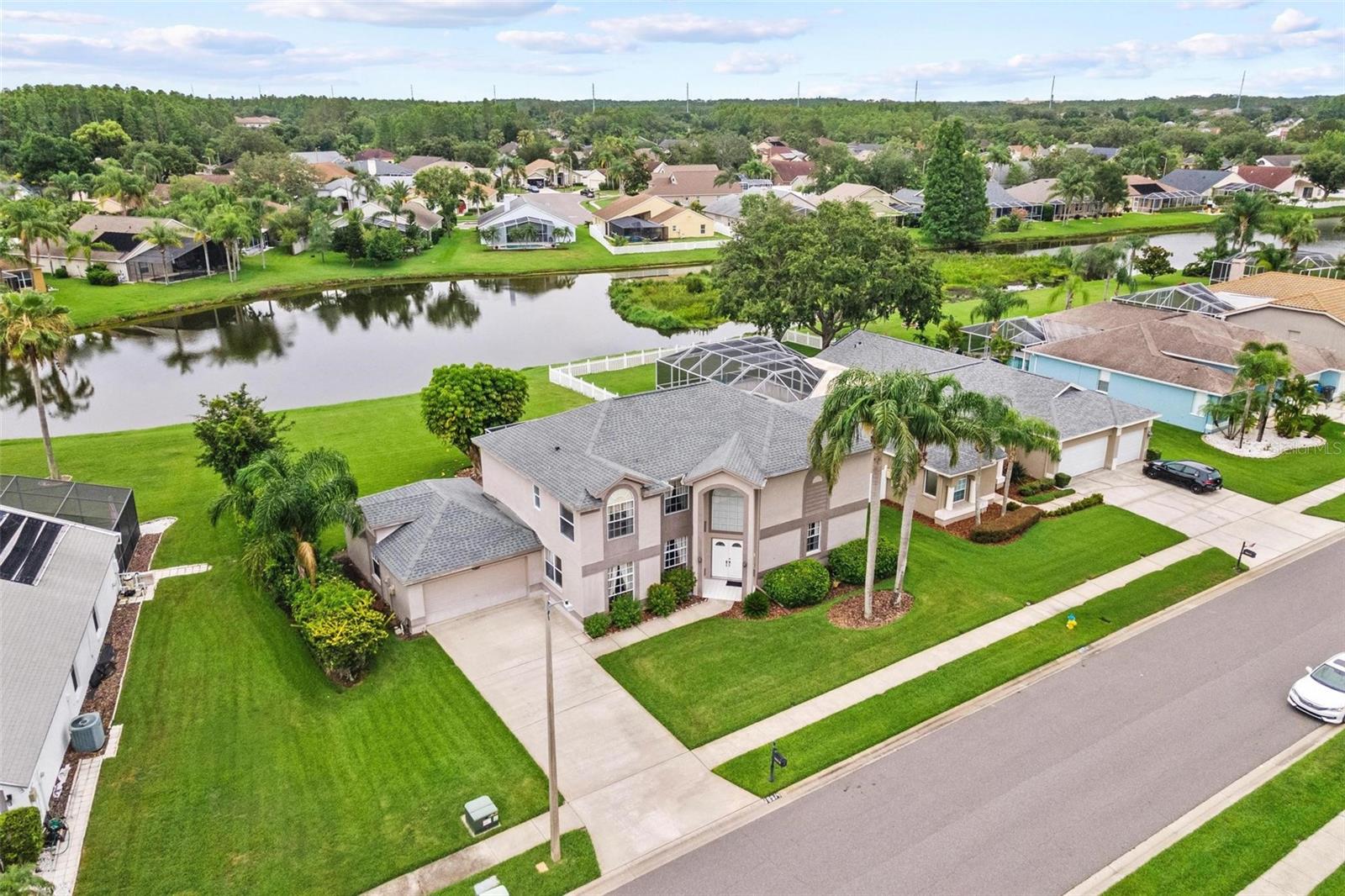 INSTANT EQUITY! APPRAISAL IN HAND! INCREDIBLE VIEW for an INCREDIBLE PRICE! Spacious 3376 sq ft!  4BR/2.5BA + Office/5th Bedroom Pool Home with GORGEOUS Water Views in Calusa Trace! Welcome to this beautifully maintained 2-story home in the highly sought-after Calusa Trace neighborhood! Boasting 4 expansive bedrooms plus a dedicated office (or potential 5th bedroom), this home offers the perfect blend of comfort, flexibility, and stunning outdoor living.
Enjoy the screened-in, in-ground pool that overlooks a serene, oversized pond, creating your own private backyard oasis. Inside, you’ll find generously sized rooms throughout, with ample walk-in closet space in every bedroom—perfect for storage and organization.
The oversized 2-car garage already has plumbing, a window, and a door installed—ready for your future pool bath conversion.
With plenty of room on MORE than a quarter of an acre to spread out and entertain, plus unbeatable views and location, this home is a rare find. Don’t miss the opportunity to live in one of the area’s most desirable communities! Just 1.2 miles from St Joseph's Hospital North-Walking distance on beautiful sidewalk, tree lined streets!! Minutes from the Veteran's PKWY. 20-minute drive to Tampa International Airport! Look up the school ratings for the local elementary(walking distance), middle and high schools! Playground at the end of the street!